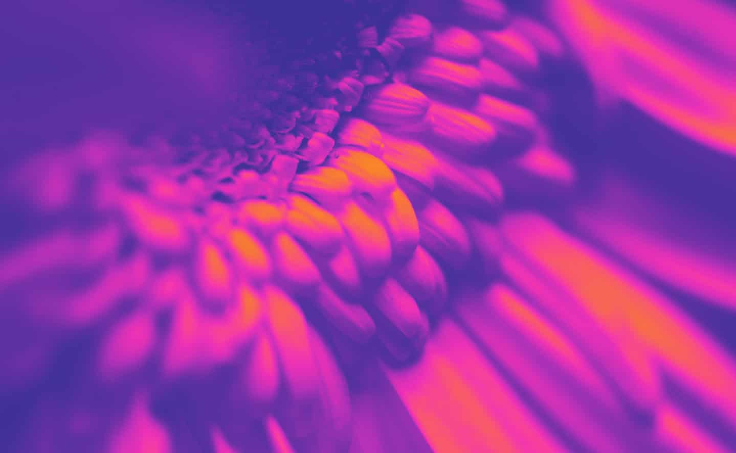 Vibralite® energy healing vs Reiki – What’s the difference?