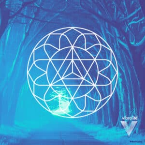 Meditation Square - Forest