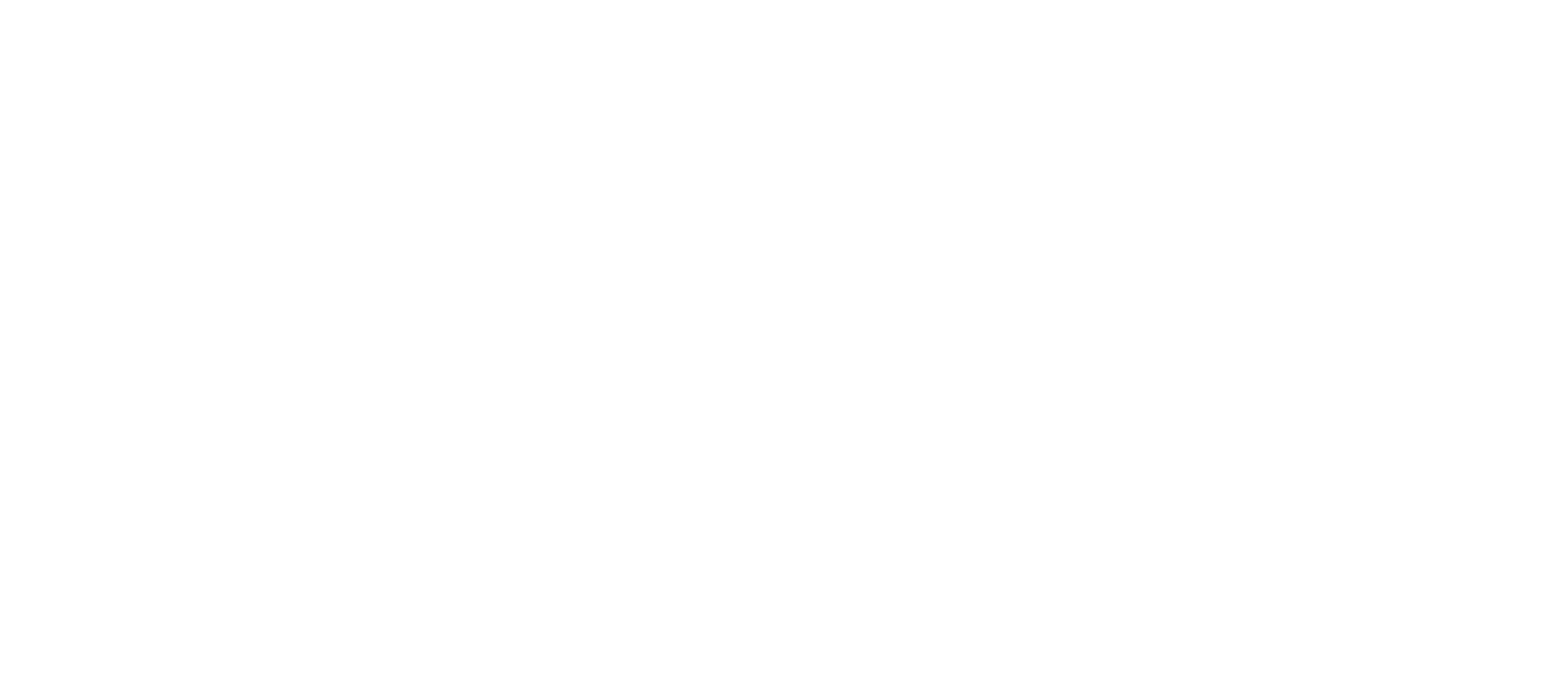 Vibralite logo TM Horiz_transparent_mobile website