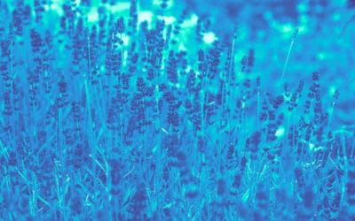 How to heal as a healer