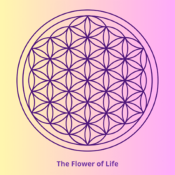 Flower of life sacred -geometry symbols