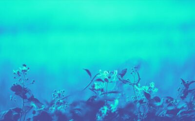 Hidden Allergies: When your body reacts but tests come back clear